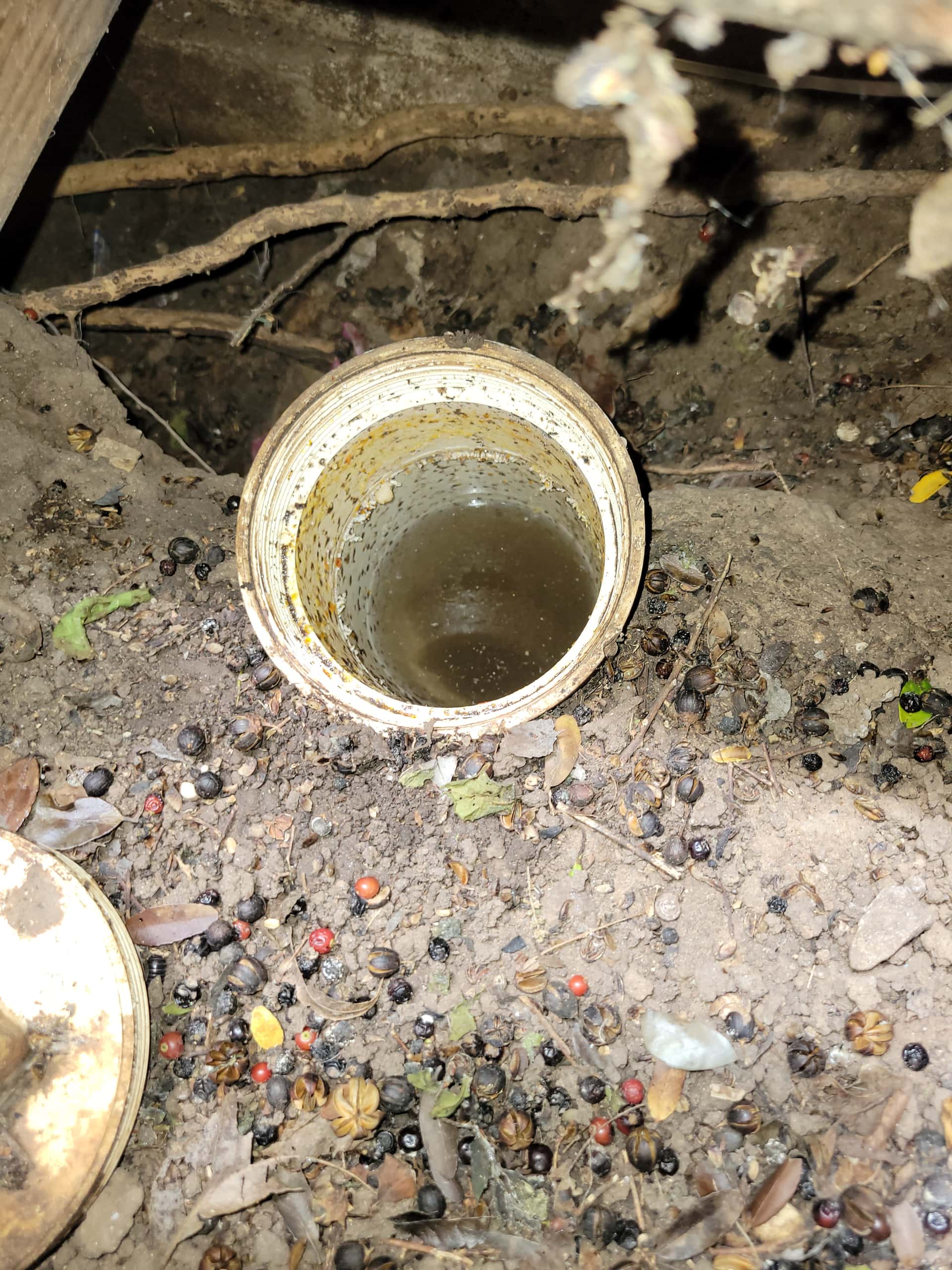 Featured image for: Tackling Drainage Problems: Expert Tips