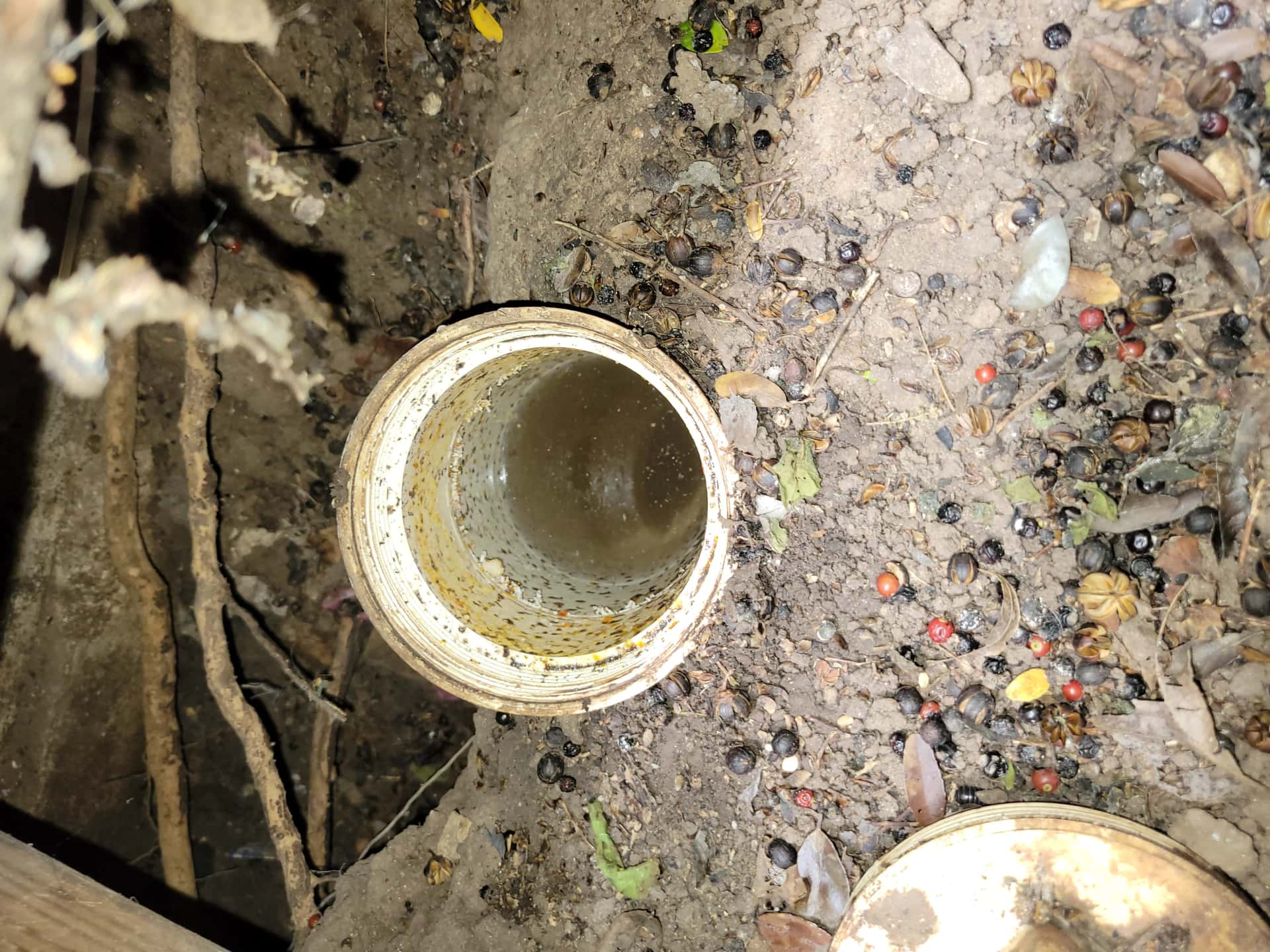 Featured image for: Top 5 Drainage Problems Homeowners Face