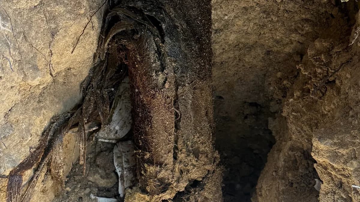 Featured image for: Top Causes of Water Leaks Homes and Solutions to Fix Them