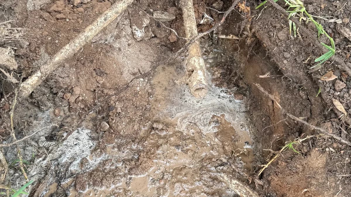 Featured image for: Why Your Austin Home Might Be Prone to Plumbing Leaks