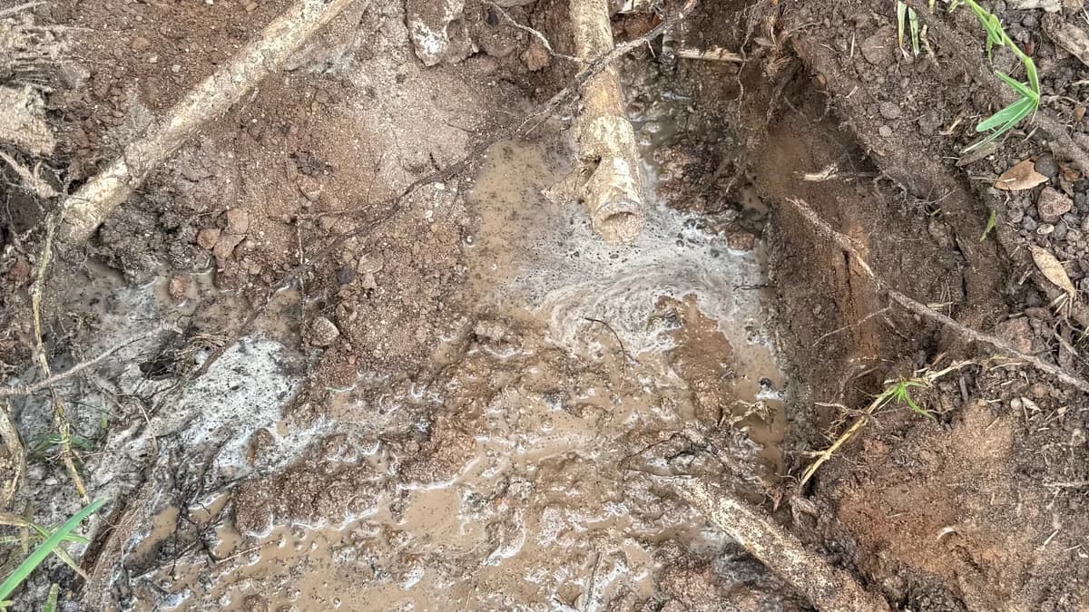 Featured image for: How to Spot and Fix Outdoor Pipe Leaks