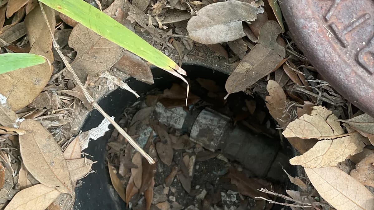 Featured image for: Prevent Flooding: Inspecting Outdoor Drains