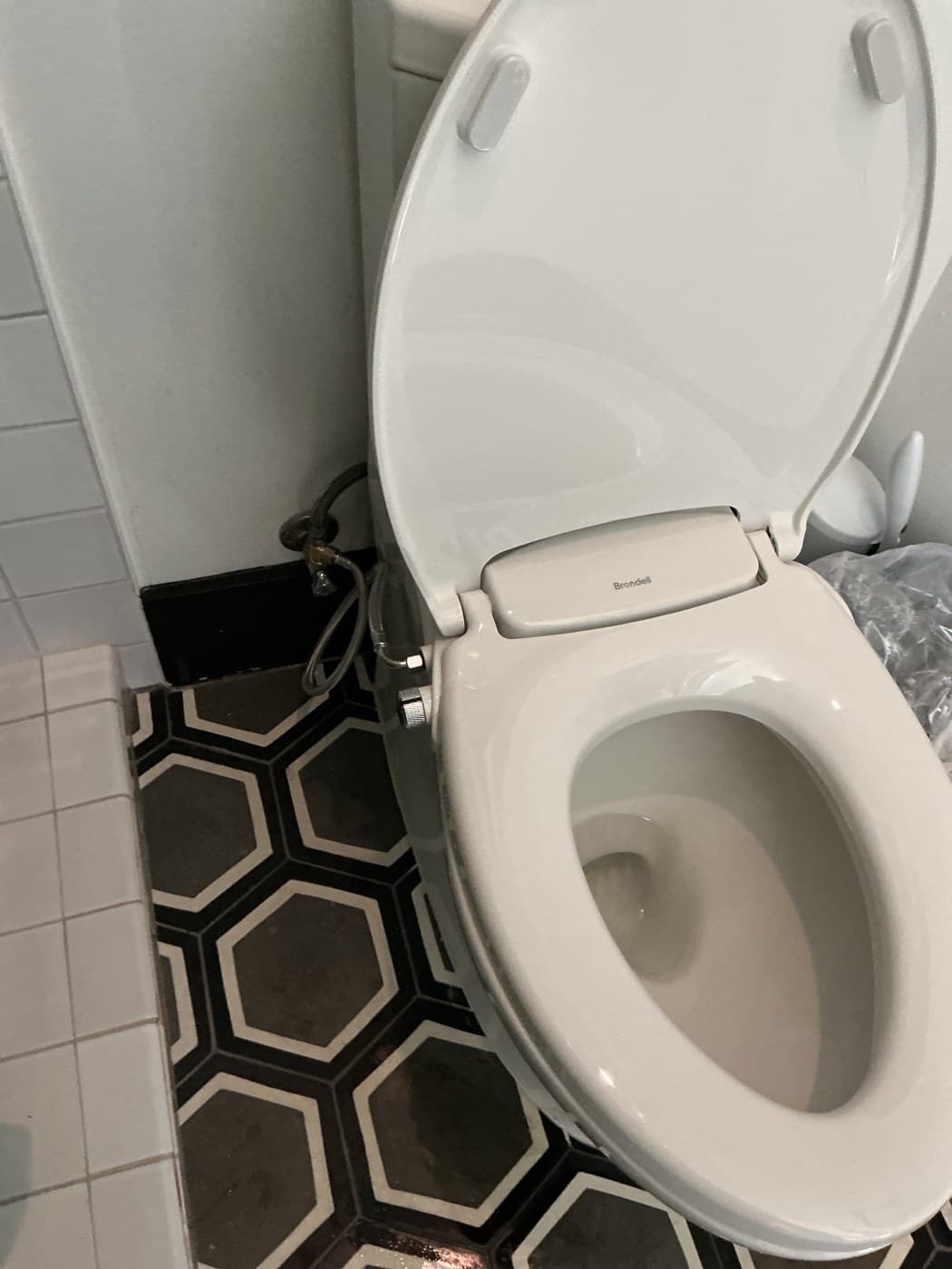 Bought the Bidet Seat, Skipped the DIY: Installed in Austin — hero image