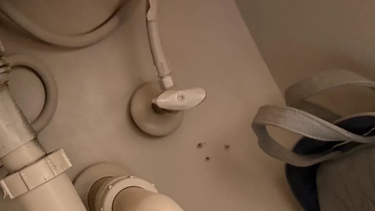 Featured image for: How to Tackle Common Under-Sink Plumbing Problems in Austin