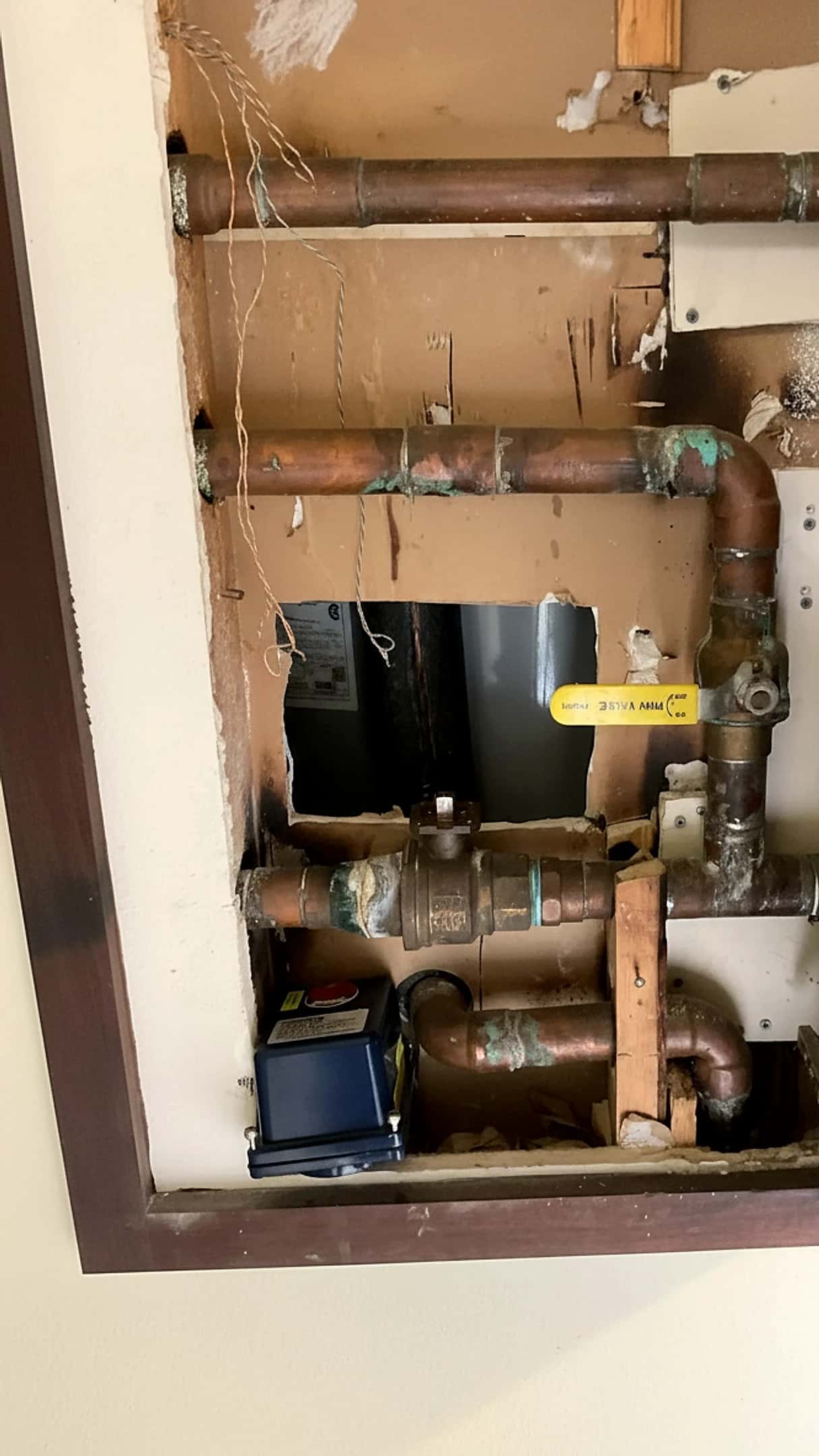 Plumbing Services in Austin, TX: A Practical Guide for Homes and Businesses