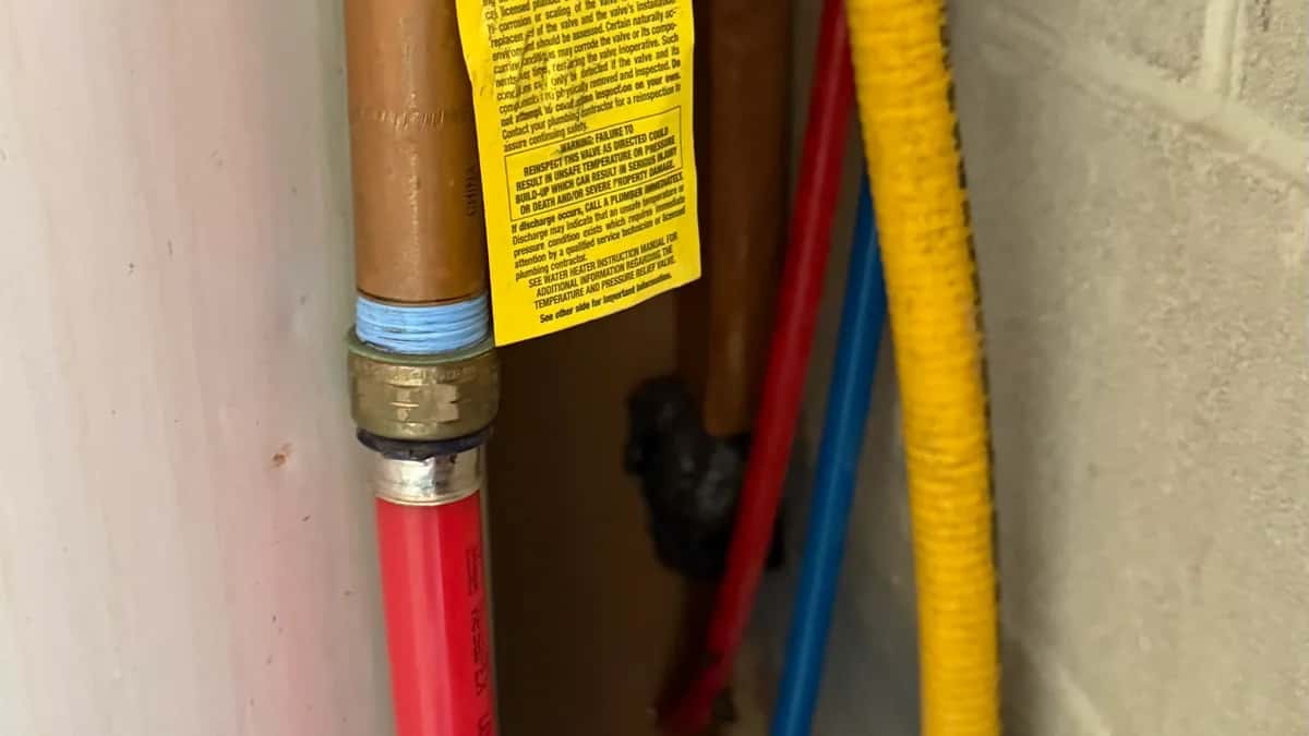 Featured image for: How Tree Roots Can Damage Your Home's Plumbing