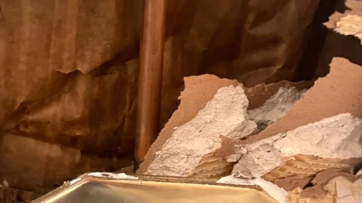 Featured image for: Why Proper Pipe Installation is Crucial