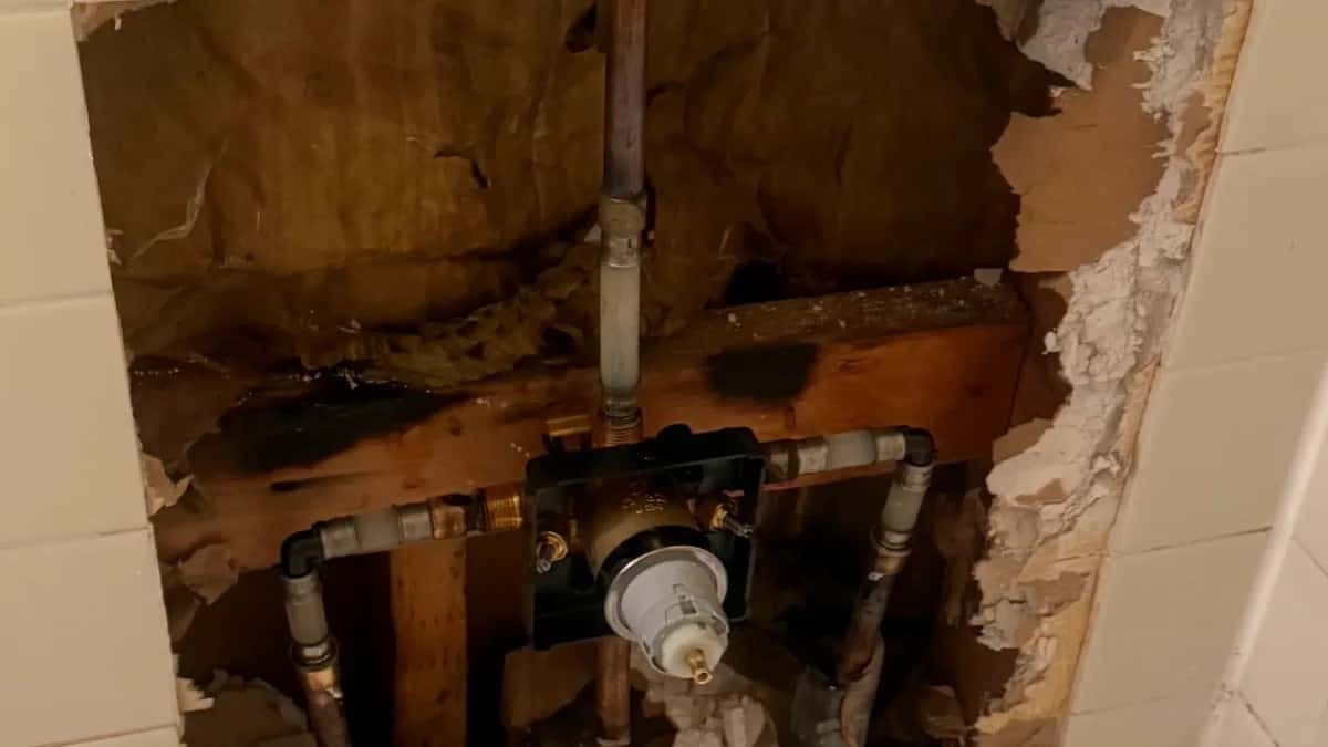 Featured image for: How Hard Water Affects Your Austin Plumbing and What You...