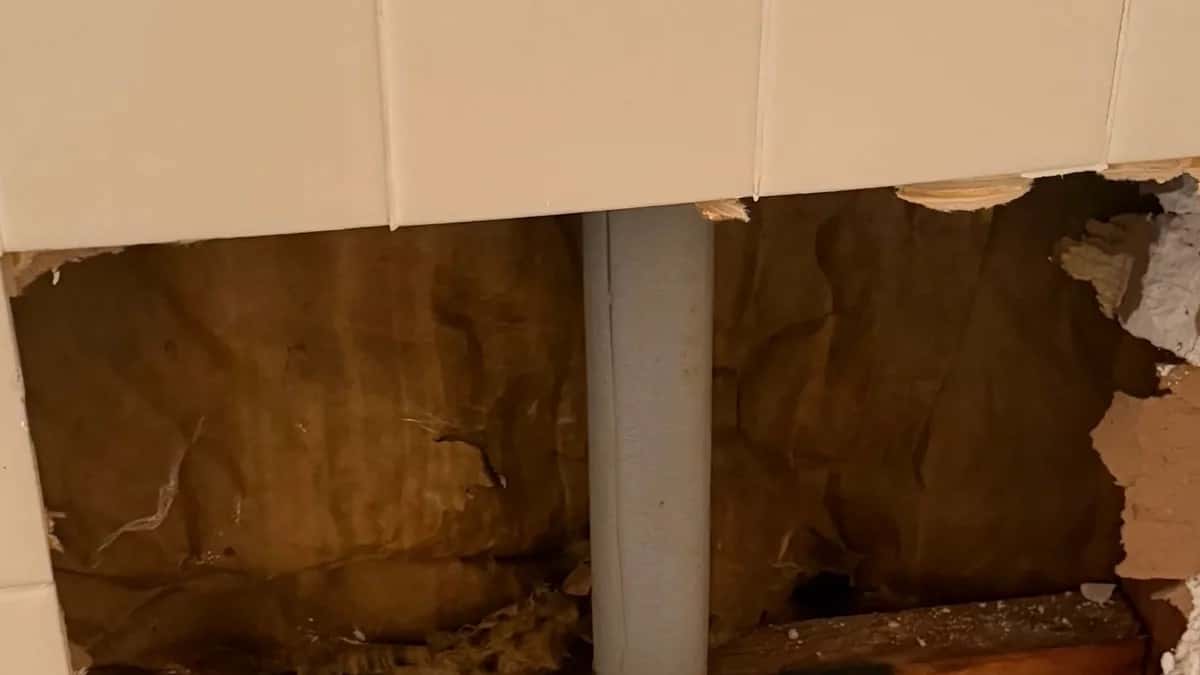 Featured image for: Keep Your Outdoor Faucets in Top Shape: Maintenance Tips