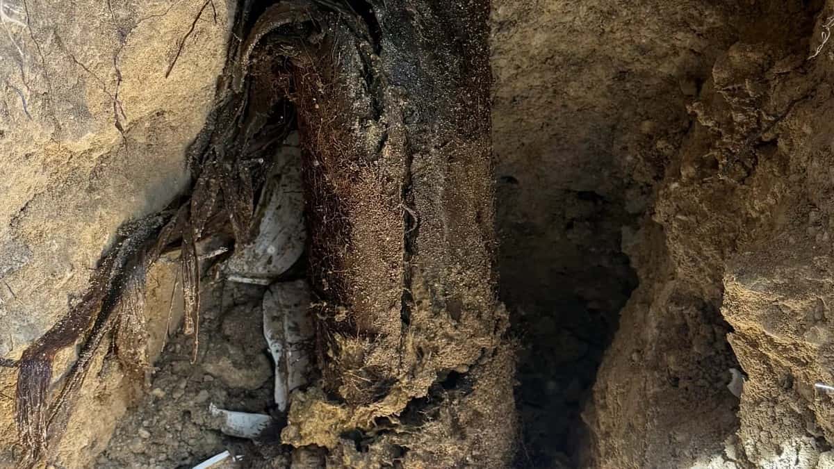 Featured image for: How Hard Water Affects Your Faucets: A Homeowner's Guide