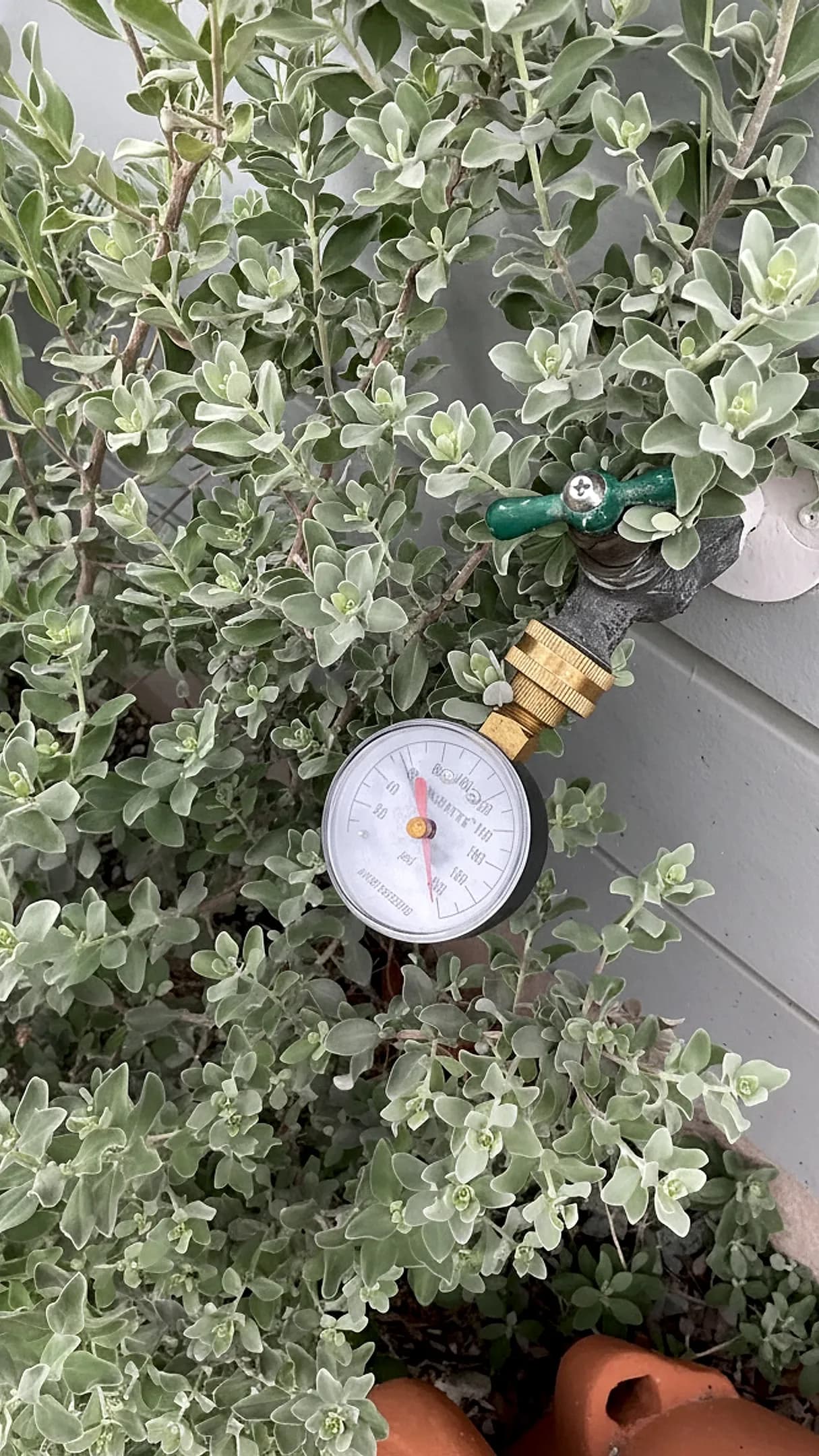 How Hard Water Impacts Your Plumbing: A Guide
