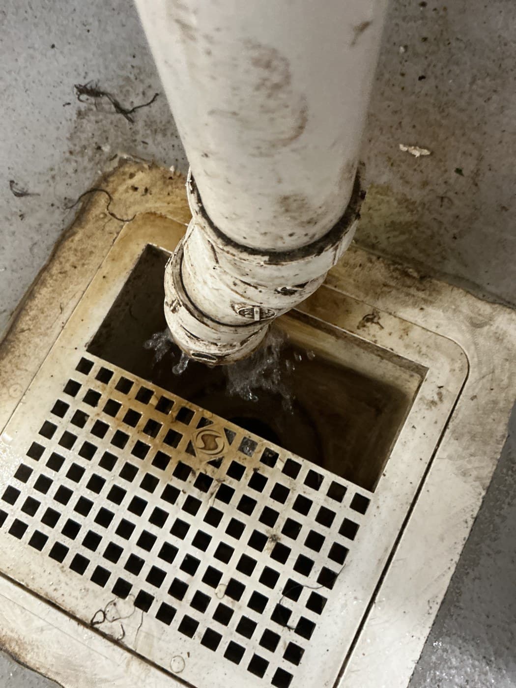 Standing Water in a Commercial Kitchen Floor Drain — Cleared in Austin — hero image