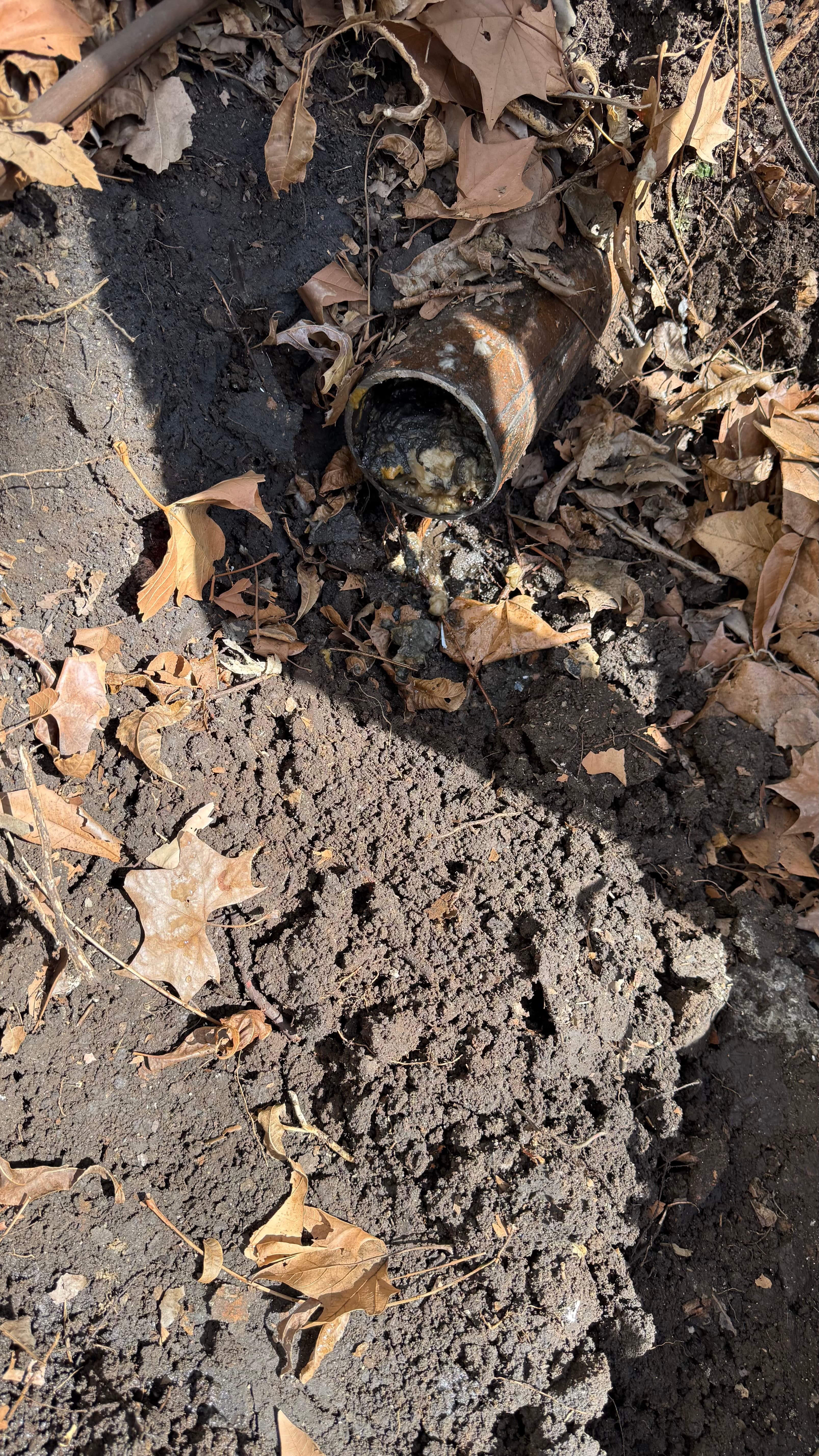 Prevent Flooding: Inspecting Outdoor Drains