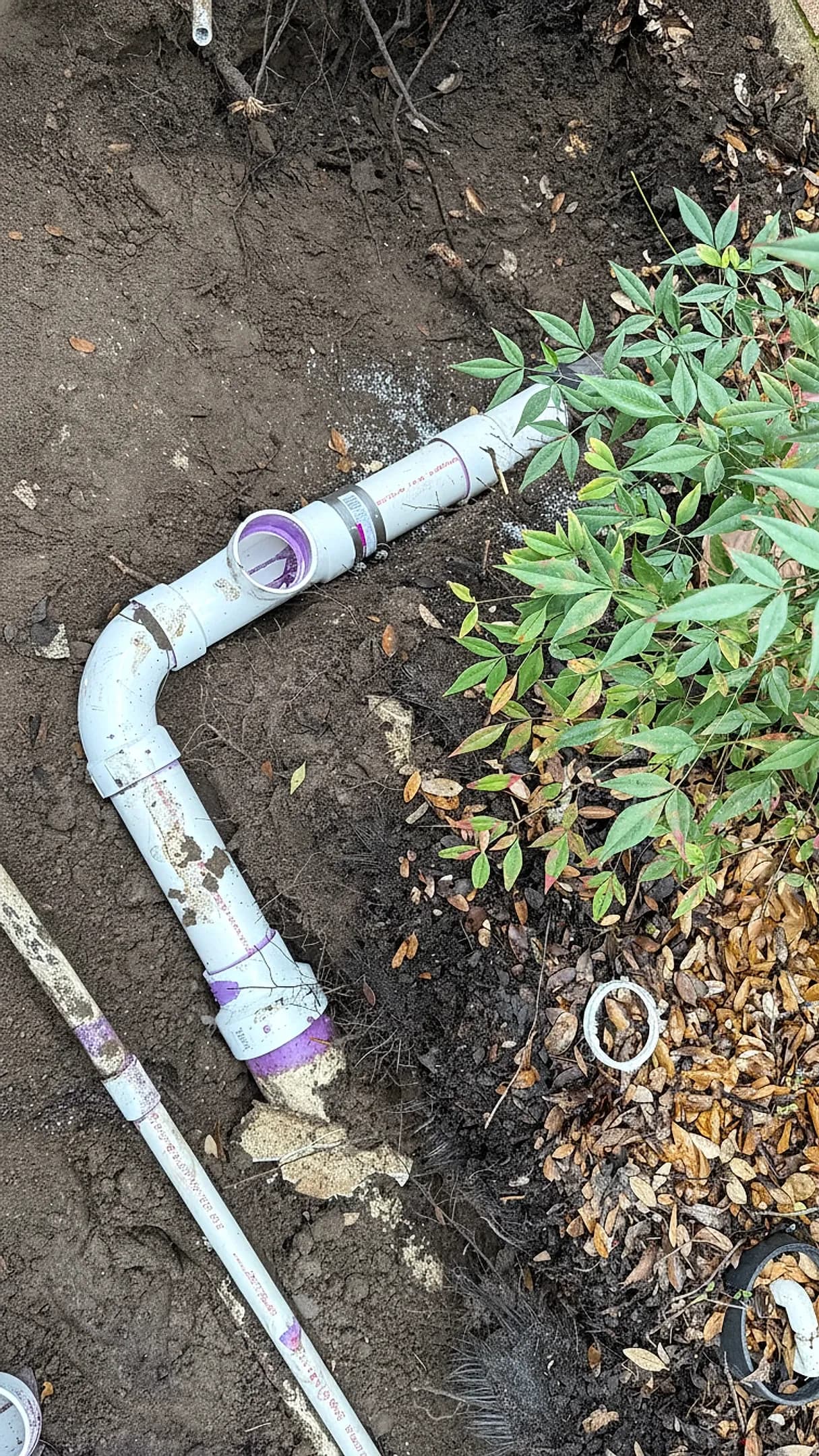 How to Spot and Repair Outdoor Drain Leaks - A Texas Home
